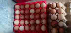 eggs kienyenji