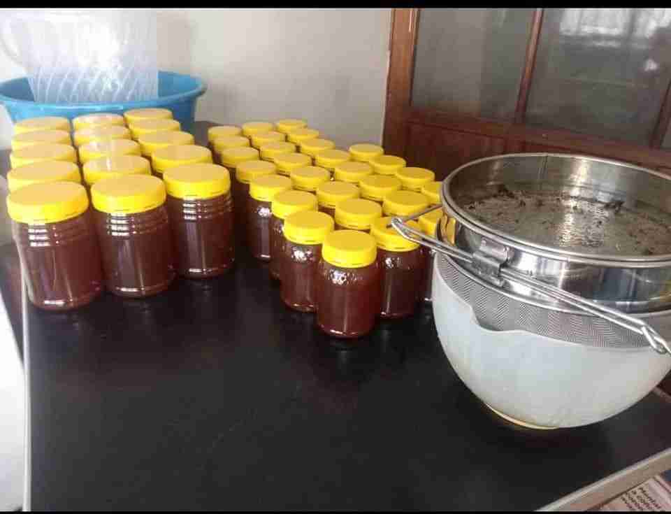 NATURAL HONEY