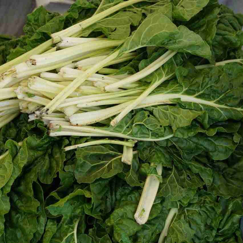 Spinach