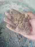 Organic Fertiliser