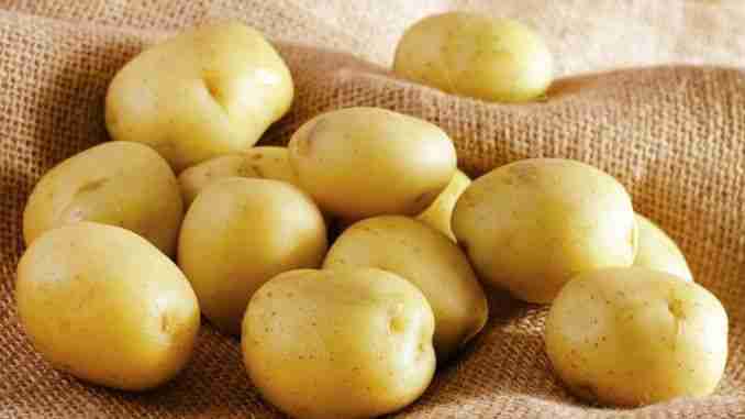 How to plant potatoes