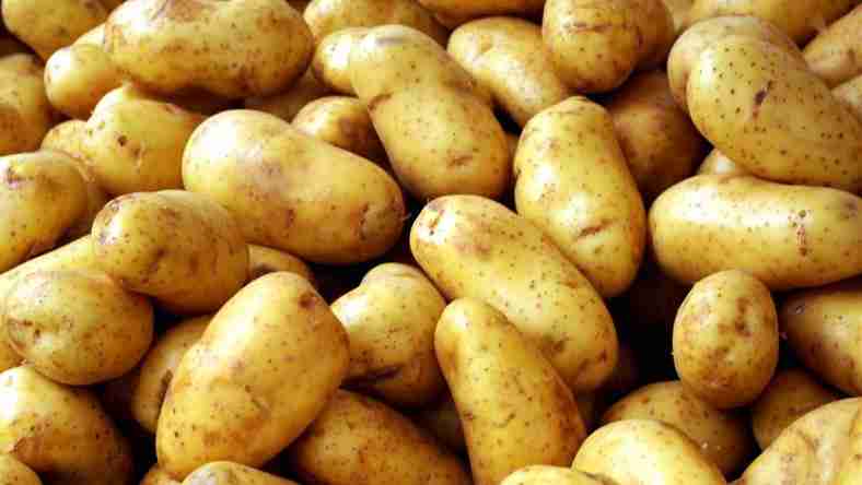 From Farm to Table: Discovering the Nutritional Magic of Irish Potatoes