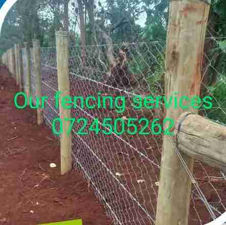 Fencing experts