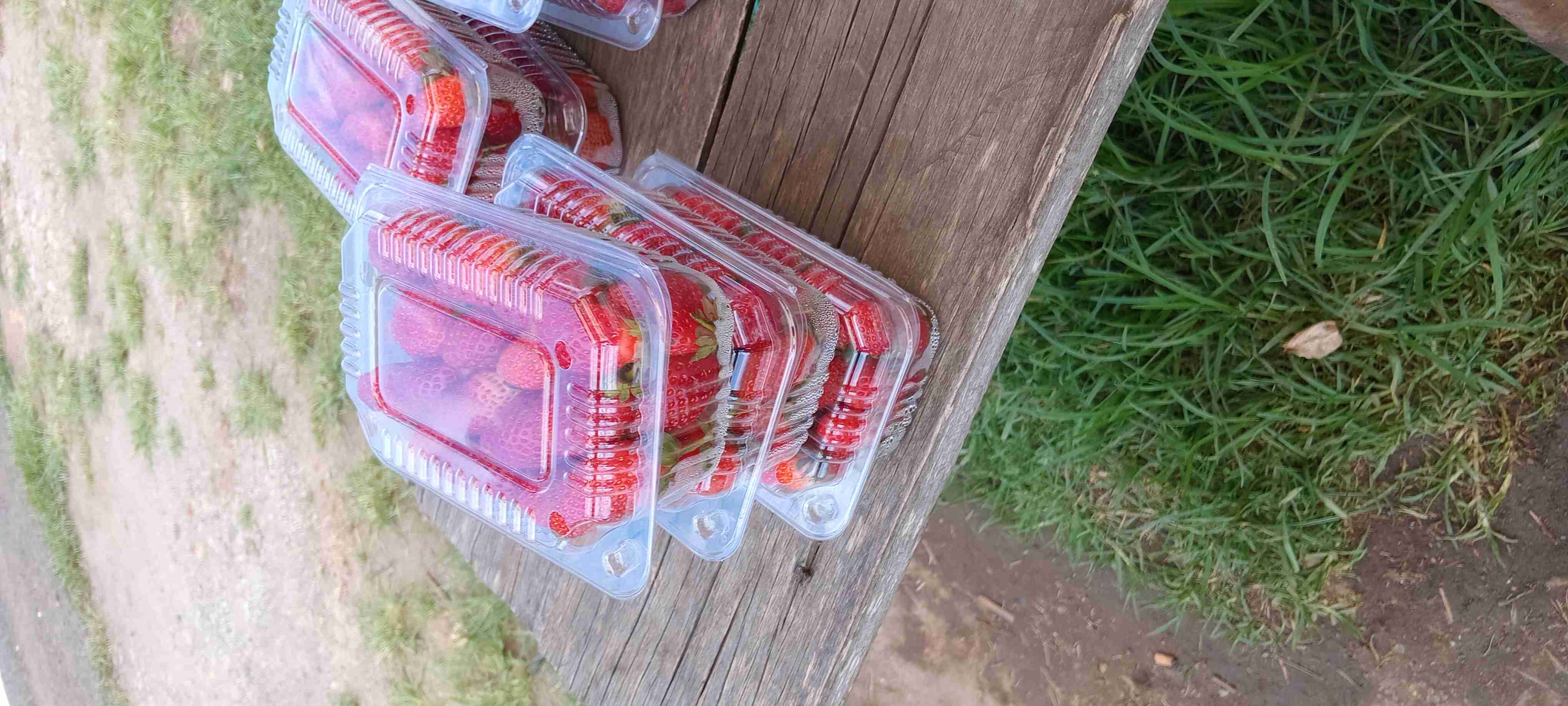 Strawberries 