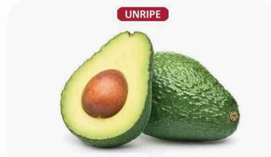 Buy Unripe Avocado Hass