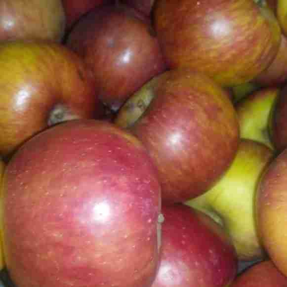 Apples