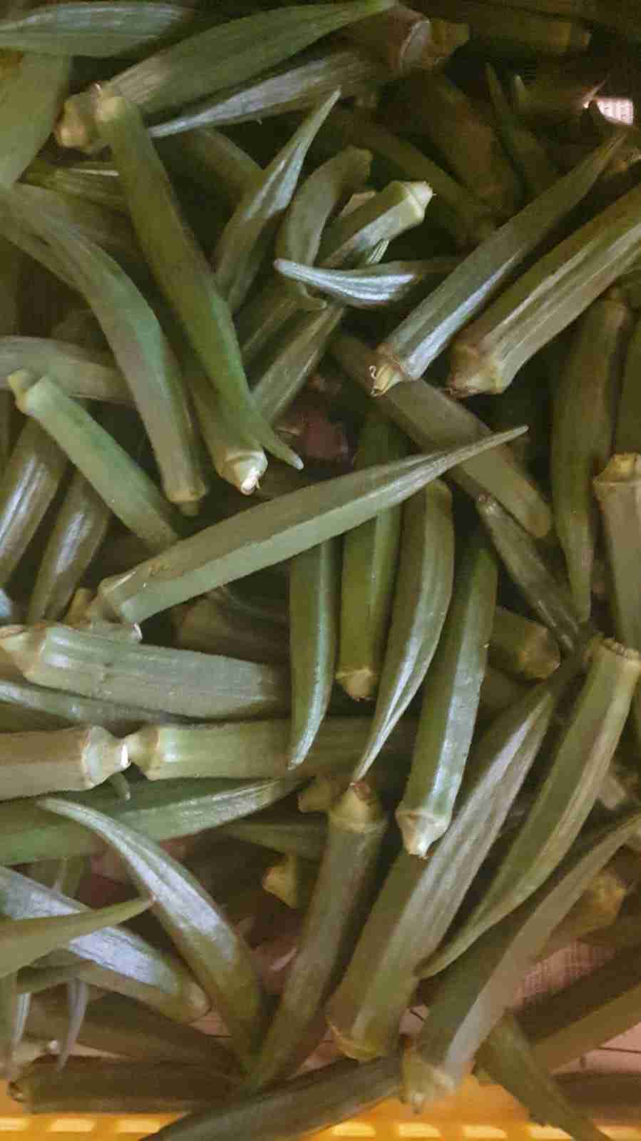 Okra