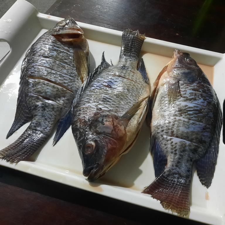Fresh Tilapia Fish - Kijiji Foods