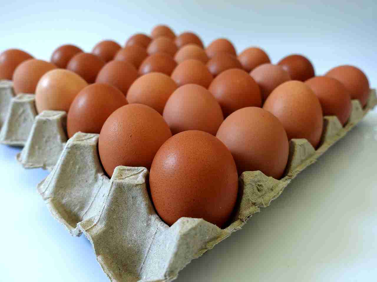 Eggs