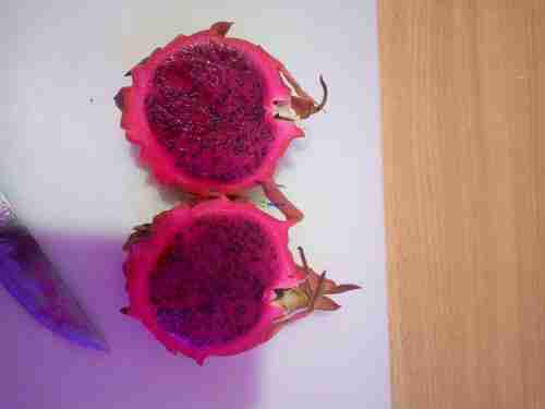 Dragon fruit