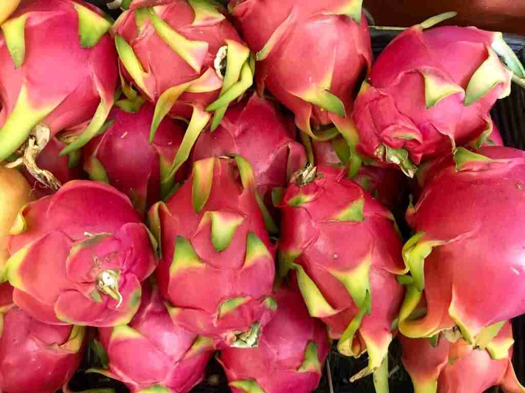 Moroccan Red Dragon Fruit