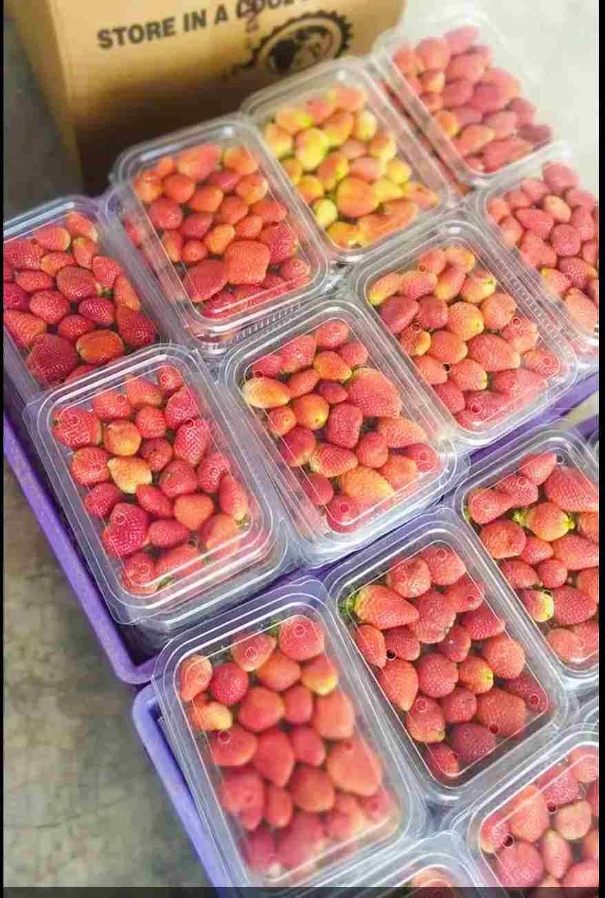 Strawberry 