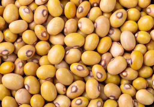 Yellow beans