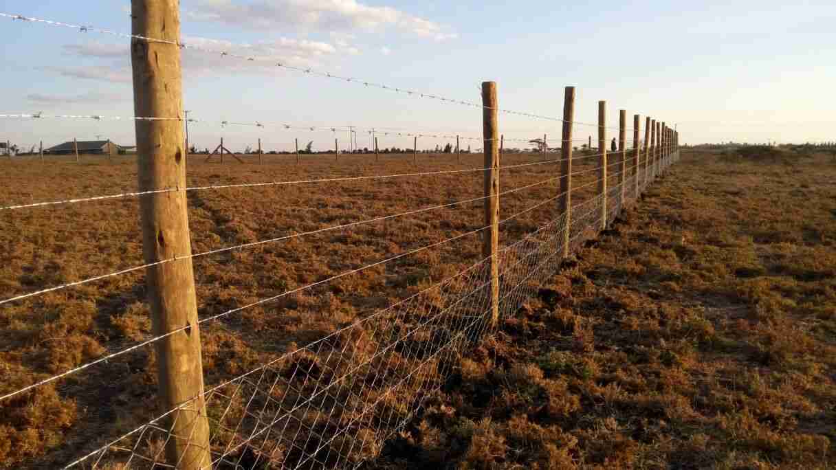 FENCING POLES