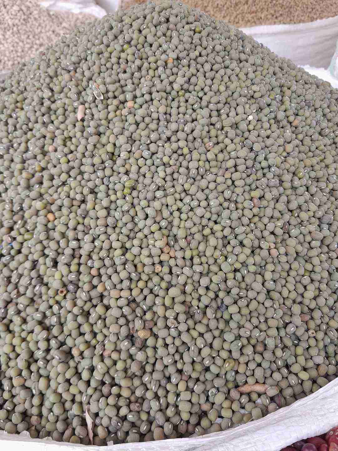 Ndengu Makueni